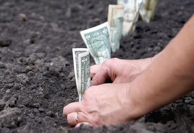 У Львові призупинилася торгівля земельними ділянками