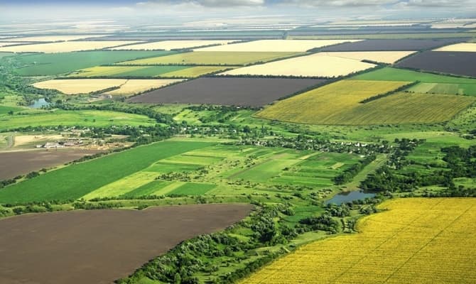 фото умовне