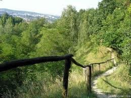 У Львові в парку «Знесіння» відкриють «Маршрут здоров’я»