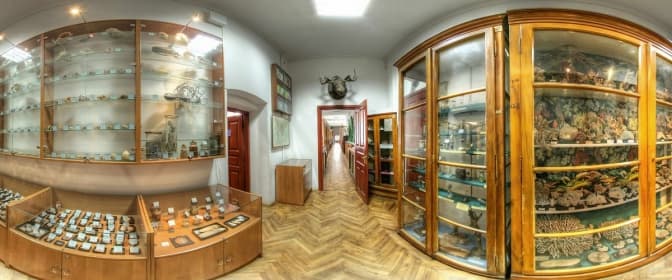 Львів святкуватиме День музеїв упродовж 8-ми днів. Програма