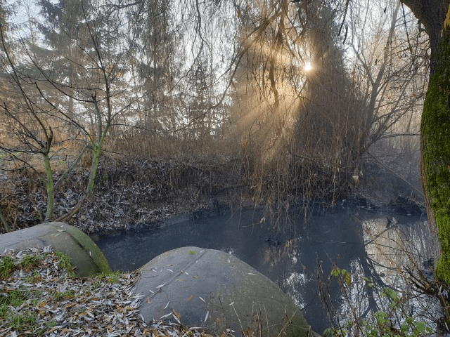 Фото: Андрій Риштун