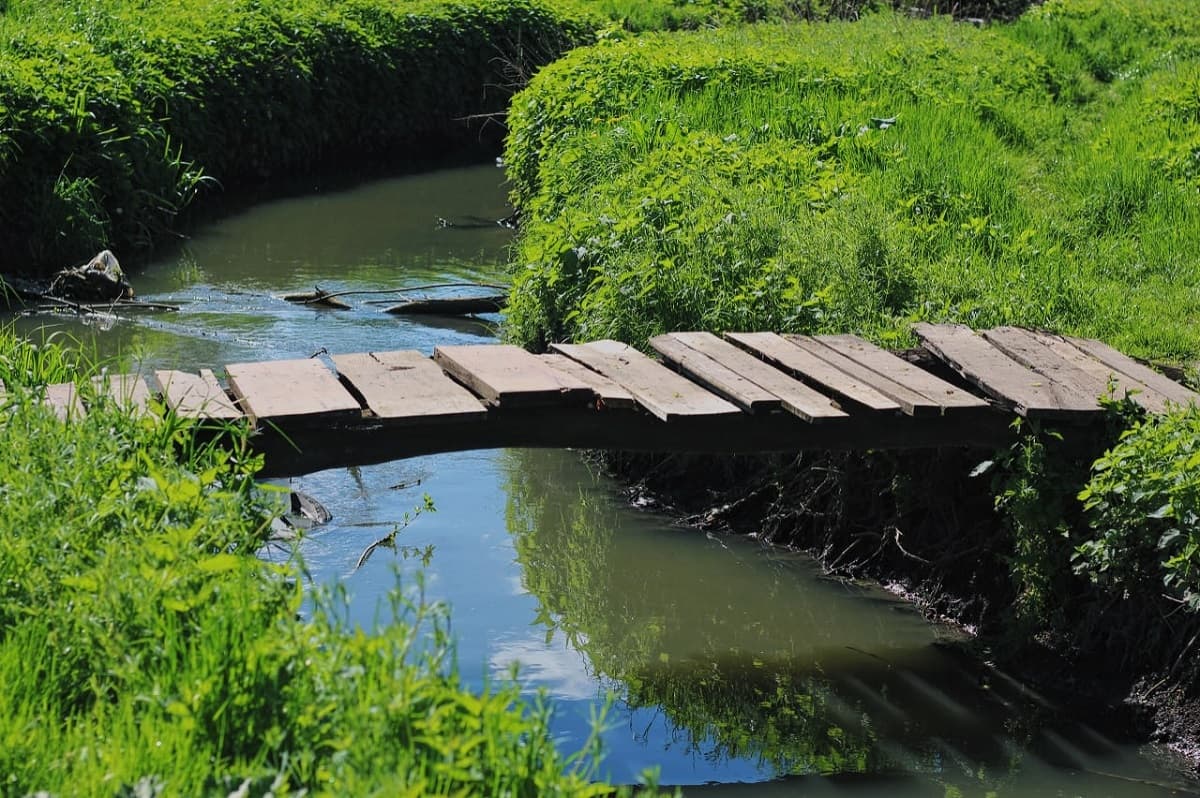 Вода в місті. Як річка Зубра впливає на львів'ян і як її врятувати