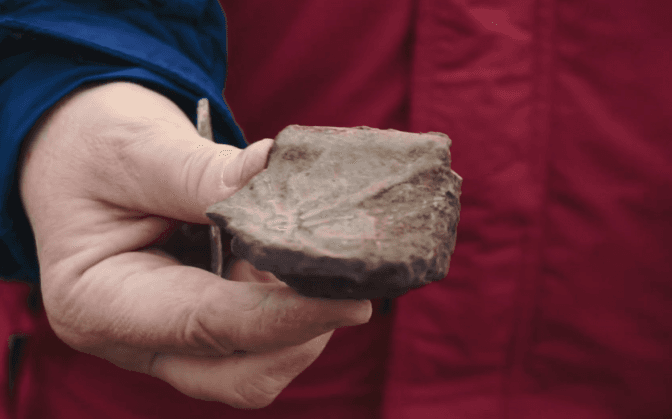 Давні віконниці та кахлі з гвоздикою. Археологи знайшли речі літописного Звенигорода поблизу Львова