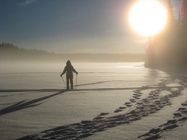 Морози в Україні залишились позаду: від завтра теплішатиме