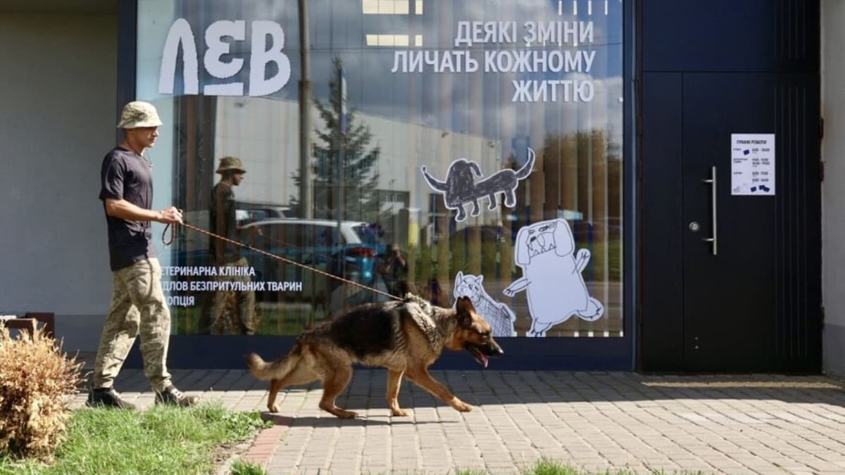 У Львові небайдужих запрошують вигулювати собак з центру для безпритульних тварин