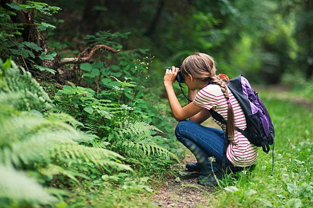 Фото: iStock