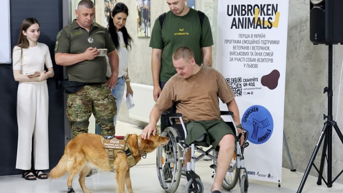 У Львові запустили програму підтримки ветеранів за участі собак. Як долучитись