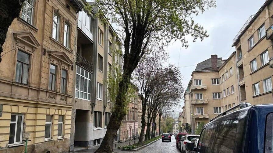 Фото: ЛМР