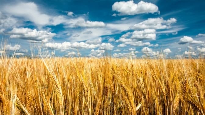 фото з відкритих джерел