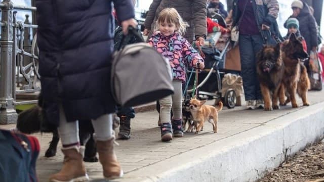 На Львівщину може прибути ще орієнтовно 100 тисяч вимушених переселенців