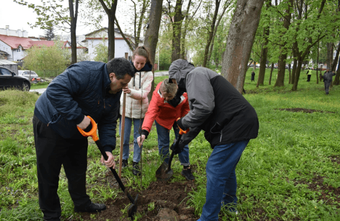 У Львові висадили дуби, привезені з малої батьківщини Тараса Шевченка