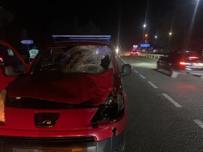 На Львівщині водій на смерть збив 22-річну дівчину