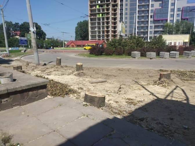 У Львові на вулиці Городоцькій зрізали дерева – облаштовують велодоріжку