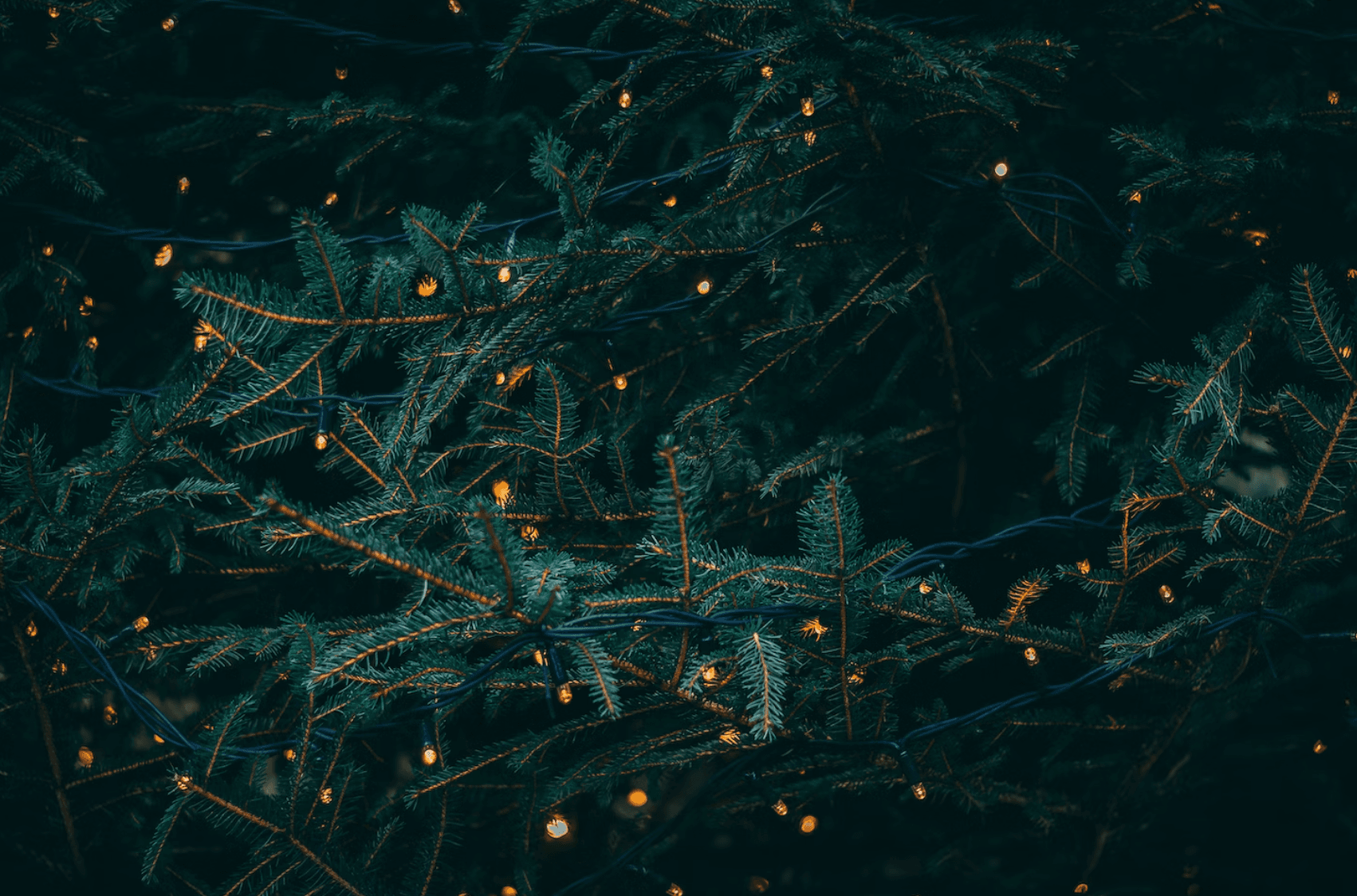 Фото: Unsplash