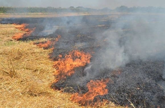Під Києвом горить торф. Людям радять не виходити на вулицю