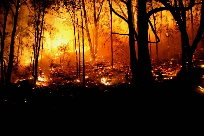 Як поводитися в осередках пожеж. 7 порад