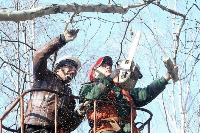 Фото умовне