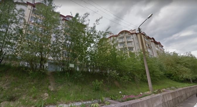 На вулиці Джона Леннона замість зрізаних дерев висадять нові
