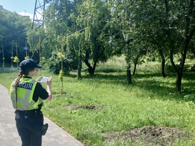 Зі сквера в Києві вкрали дерева, висаджені на честь загиблих журналістів