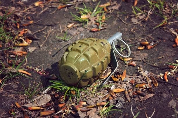 У одній з громад Львівщини виявили сучасну гранату з запалом