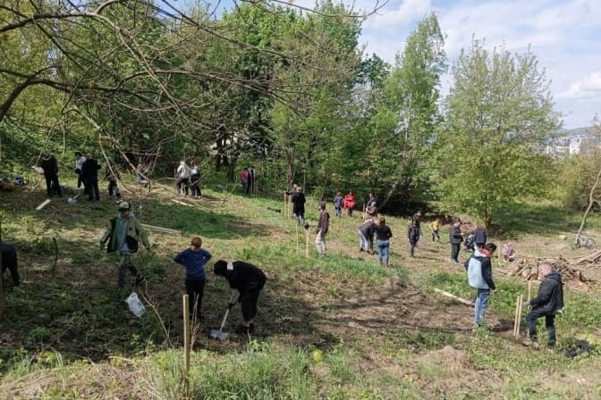 У львівському парку висадили сто саджанців дуба