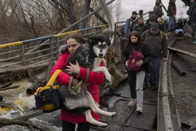 Фото: AP Photo / Vadim Ghirda, Emilio Morenatti