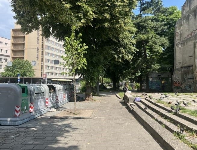 Біля готелю «Львів» боротимуться з гризунами
