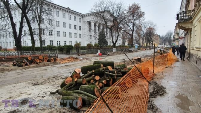 Що насправді відбувається на вулиці Пекарській і як тут рятують від зрізання три старих дерева