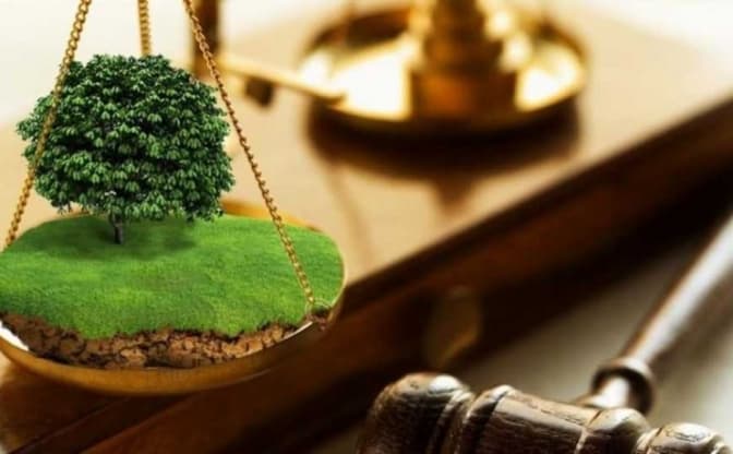 У громадянки росії на Львівщині конфіскували дві земельні ділянки