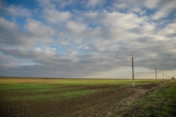 Колишній голова сільради на Львівщині незаконно заволодів землею на 42 млн грн