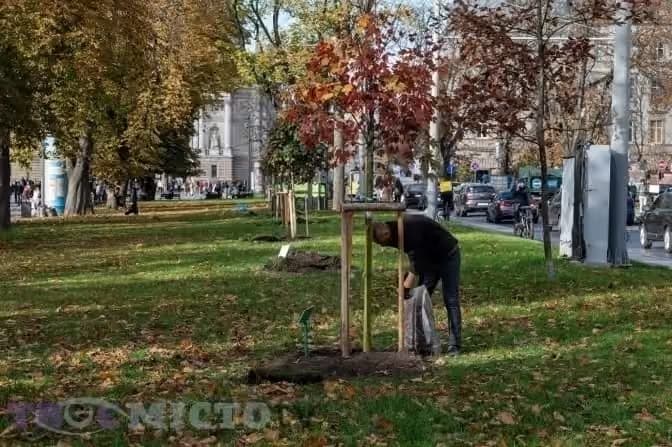 Ілюстративне фото: Твоє місто