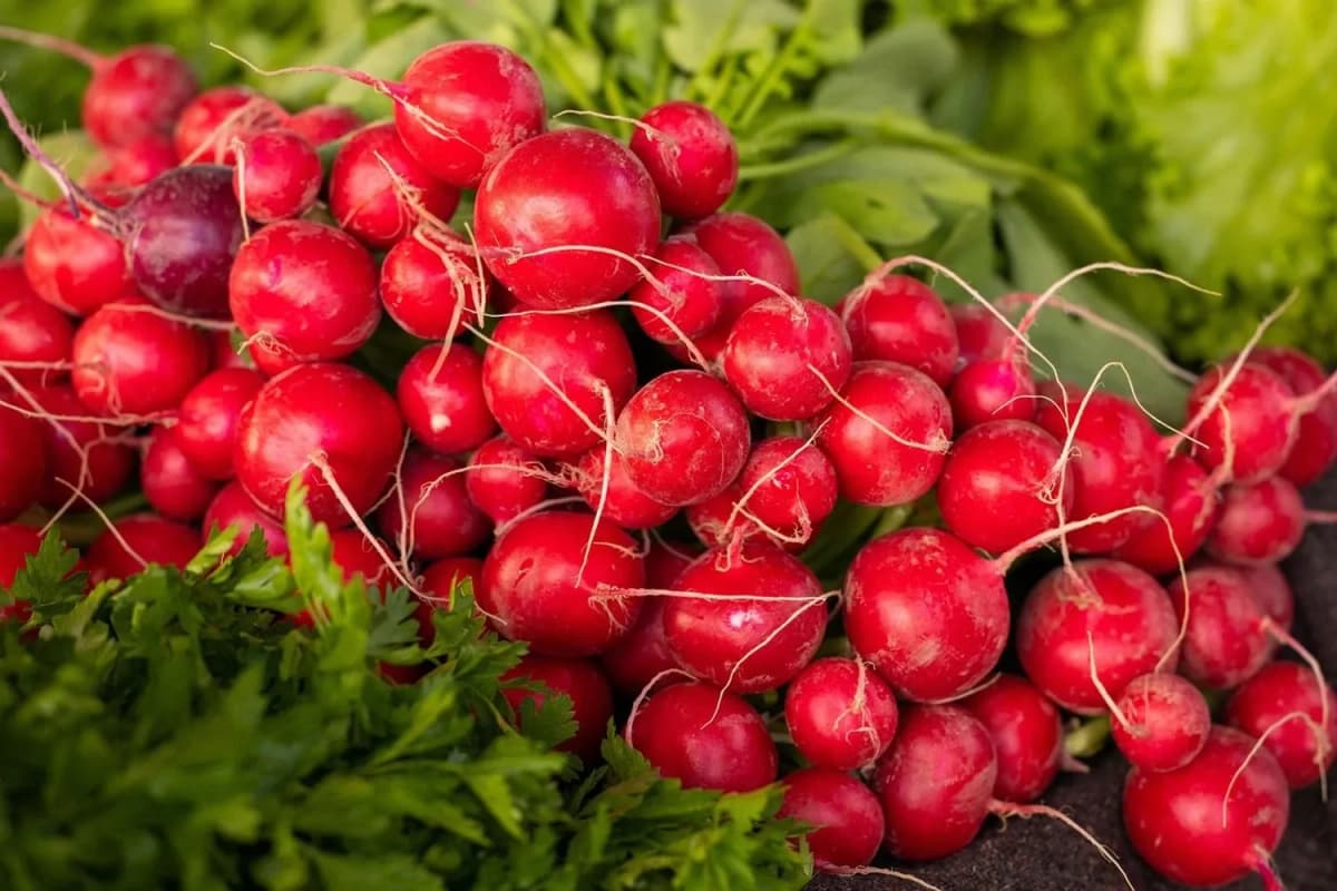 У Києві відбудуться продуктові ярмарки: перелік локацій