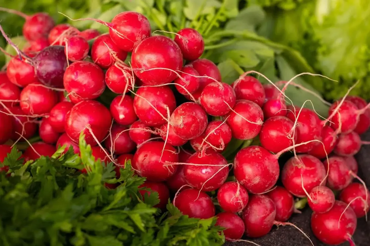 Де купити свіжі продукти: у Києві весь тиждень триватимуть сезонні ярмарки