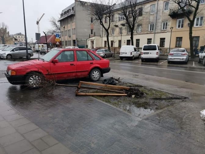 У Львові зламали два молоді дерева на нещодавно відремонтованій вулиці