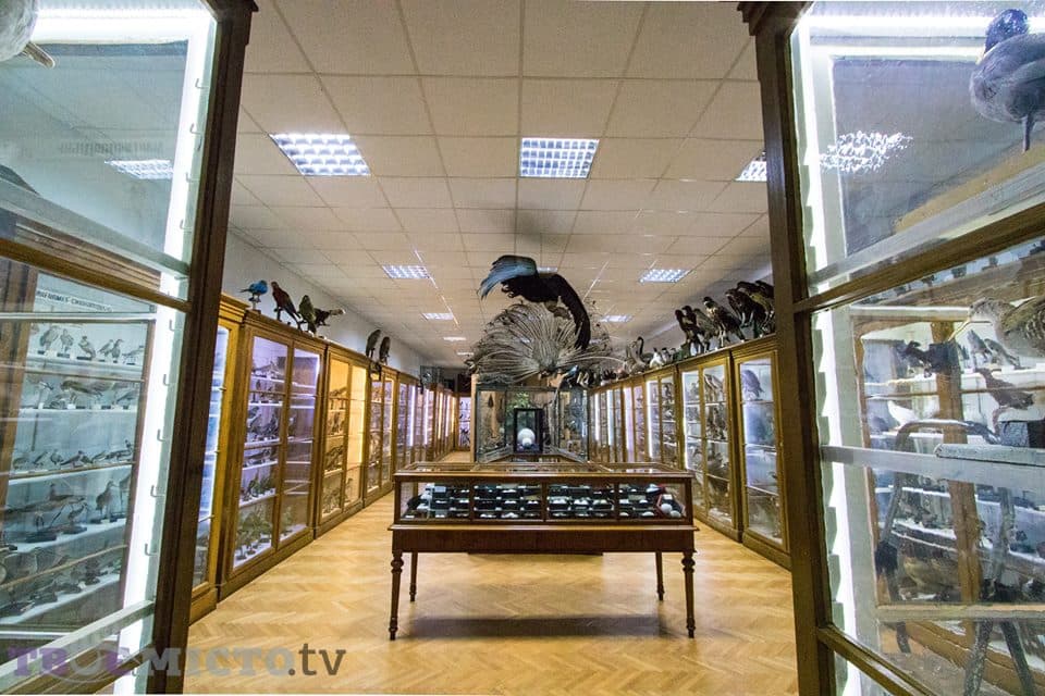 Сьогодні львів’ян запрошують на екскурсію в зоологічний музей ЛНУ імені Івана Франка