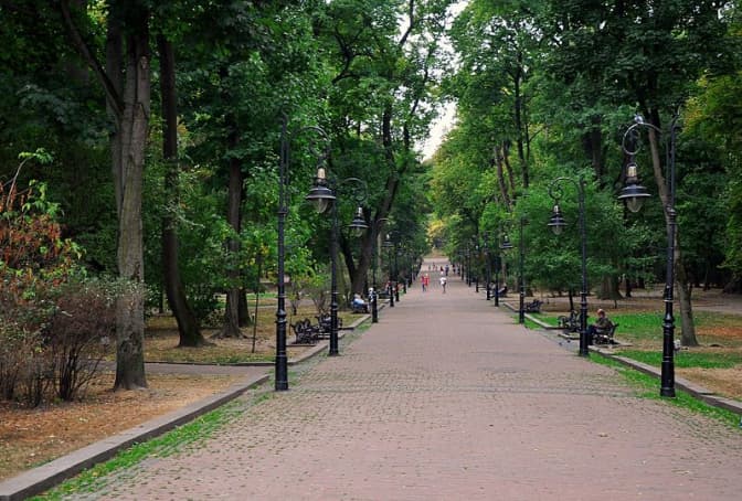 Як у Львові планують покращити якість повітря. Перелік заходів