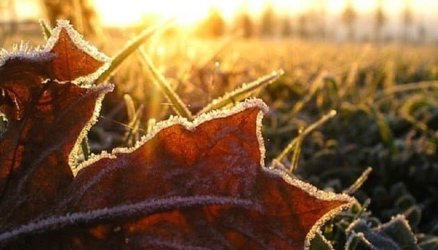 У Львові вночі очікуються заморозки до –2°. Прогноз на суботу