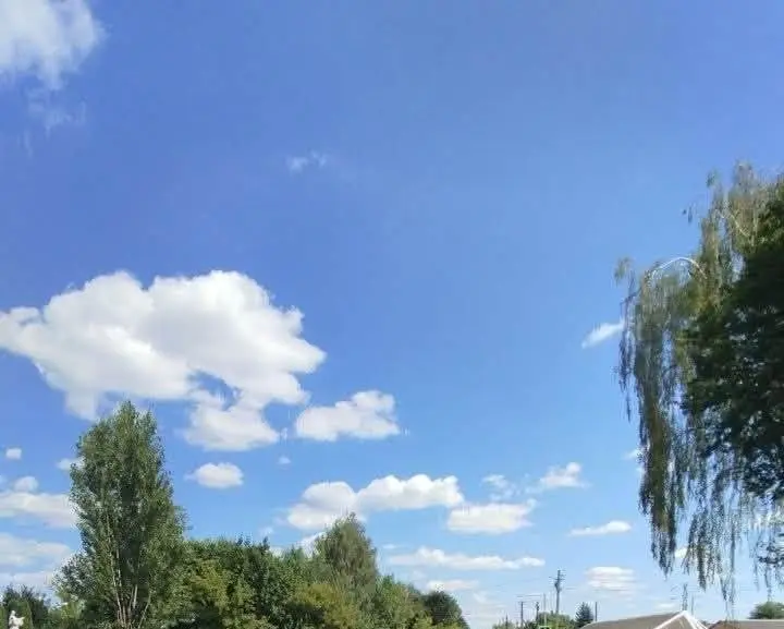 Нову організацію руху запровадили на вулиці Шевченка у Львові: що змінилось