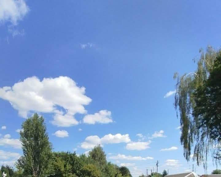 Фото: Шевченківська РА
