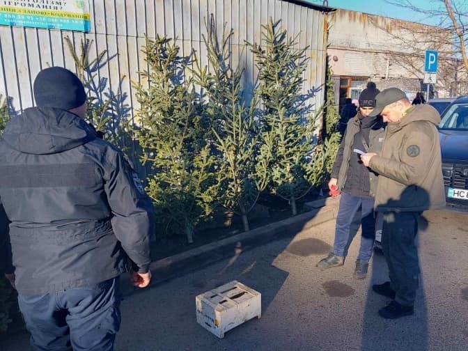 Львівські інспектори виявили ялинки без документів біля одного із ринків