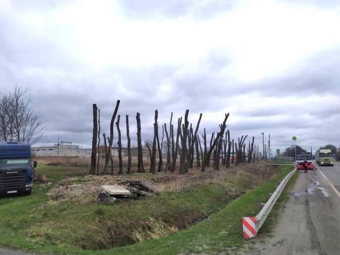 Уздовж траси на Львівщині самовільно вирізали та пошкодили дерева. Фото