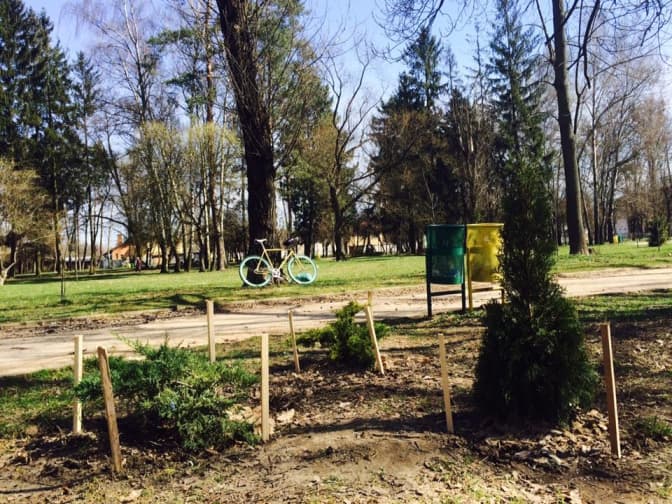В Левандівському парку невідомі вкрали саджанці дерев. Шукають свідків