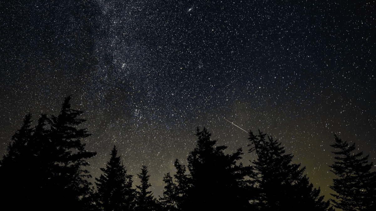 The Perseid peak is coming: when to look at the sky and how to see the most meteors