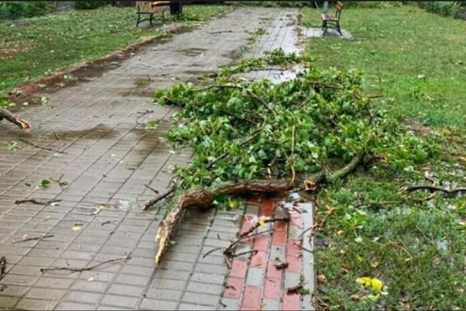Через негоду у Києві постраждала людина