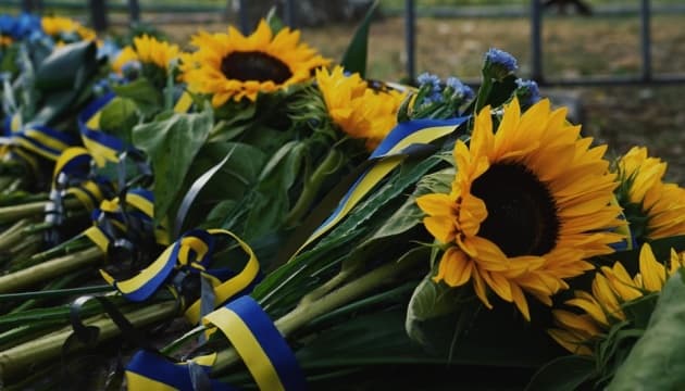 День пам’яті захисників України: чому 29 серпня символом став соняшник