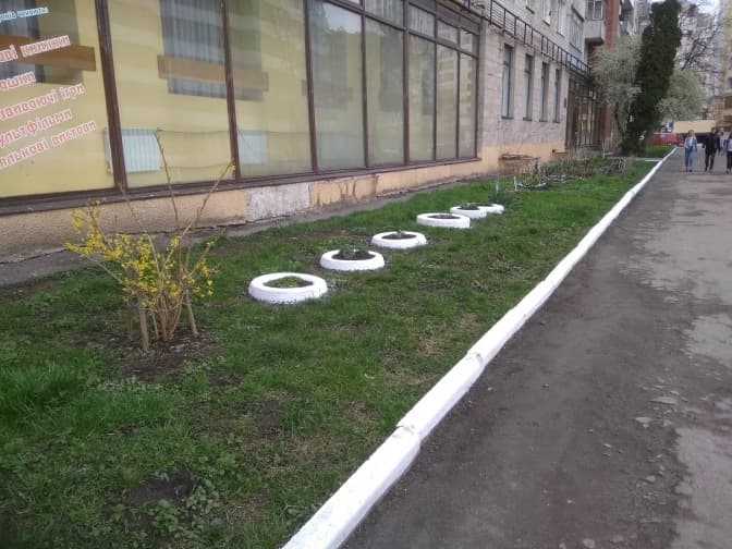 Львів'янам нагадують про заборону білити бордюри та дерева