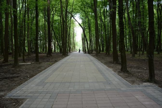 Легені Львова. 6 ідей облаштування львівських парків. Візуалізація