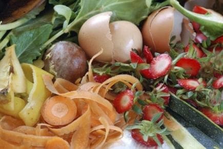 Де у Львові можна здати харчові та садові відходи на компостування