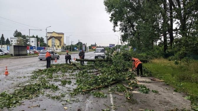 Пошкоджені дахи та повалені дерева. Наслідки негоди у Львові