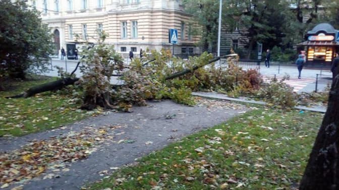 фото: сторінка Ігоря Зінкевича в мережі Facebook